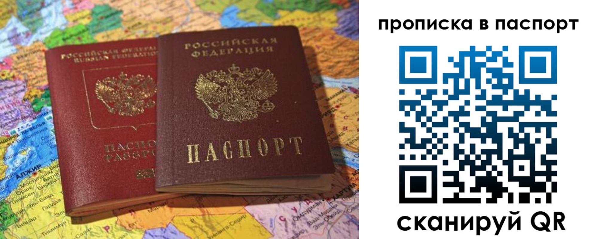 прописка гарантия в Химках