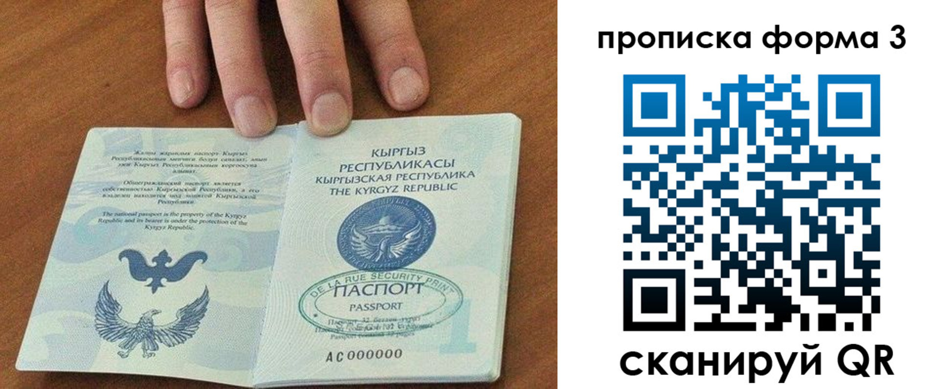 регистрация в Химках